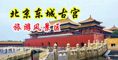 脱裤子艹逼蝴蝶导航中国北京-东城古宫旅游风景区